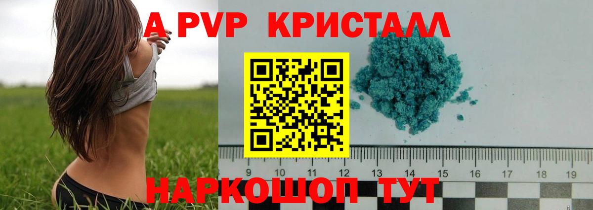 Alfa_PVP СК Павлово