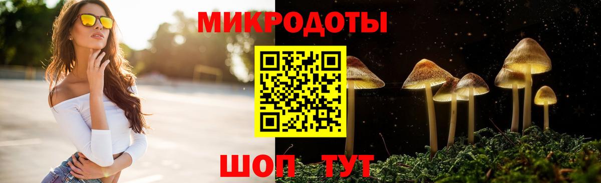 Павлово  Псилоцибиновые грибы Magic Shrooms  Вход с VPN 
