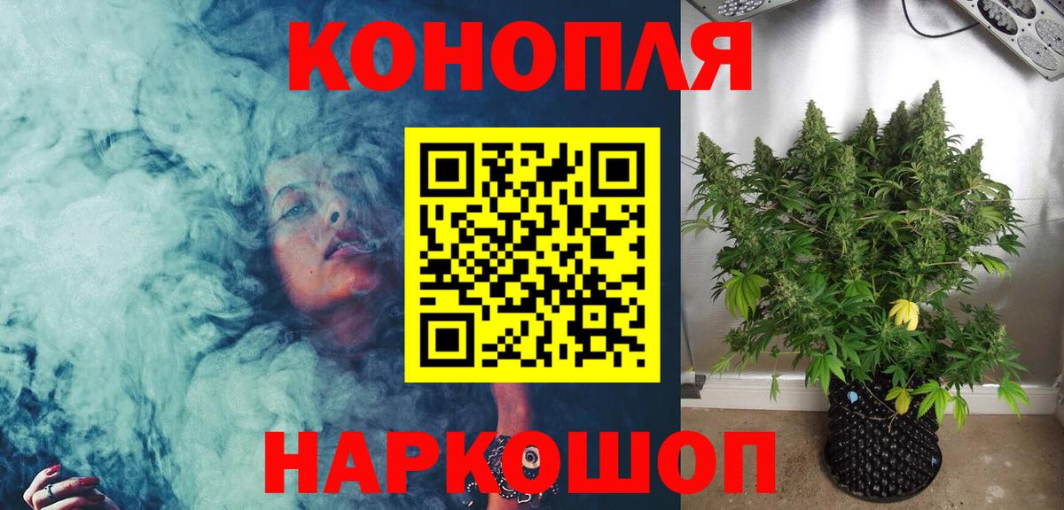 Бошки Шишки MAZAR Павлово